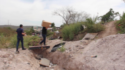 Mantiene DIF Sinaloa apoyos alimenticios entre la población