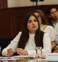 Por los trabajadores de la salud, diputados del PRI proponen legislar