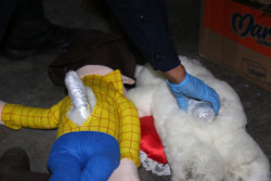 Unidad Canina asegura paquete con sustancia nociva
