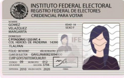 INE analiza sigan vigentes credenciales hasta septiembre