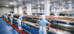 Fortalecen protocolos sanitarios en la industria