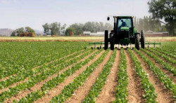 Dispersa SAyG más de 40 mdp a productores rurales