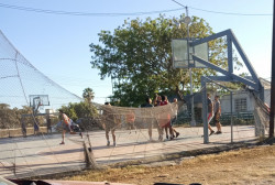 Algunos jóvenes de Mazatlán se siguen reuniendo en espacios deportivos