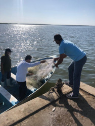 Aplican el programa estatal de inspección y vigilancia para evitar la pesca ilegal