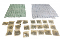 Aseguran a un joven con posesión de droga