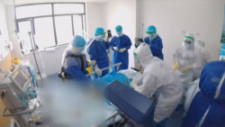 Productores hortícolas ponen a disposición de  médicos realización de prueba Covid