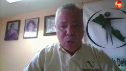 Despidos injustificados prevalecen en la pandemia