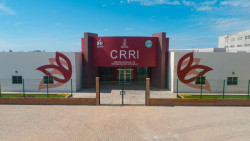 Abre DIF Call Center de Rehabilitación