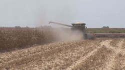 En puerta nuevas manifestaciones de productores agrícolas, ante incumplimiento de la autoridad federal