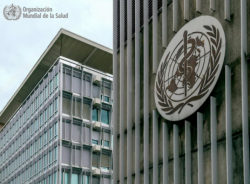 La OMS se abre a donaciones individuales para paliar posible "divorcio" con EEUU