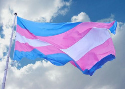 Buscará INE, que personas “trans”no sean excluidas en procesos electorales