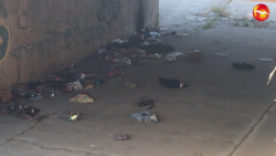 Siguen arrojando basura