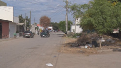 Solo quieren una colonia bonita...