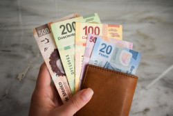 Desempleados por la pandemia pueden solicitar ante el IMSS apoyo económico