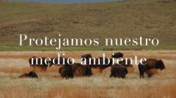 Conoce acciones para celebrar el “Día Mundial del Medio Ambiente”