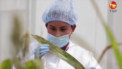SADER celebra la inocuidad de los alimentos