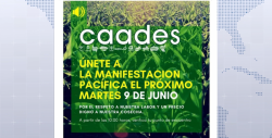 CAADES exigirá se respete precio y certidumbre de Maíz