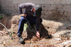 Clausuran toman clandestinas en la Isla de la Piedra
