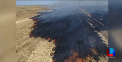 Sosprende Bomberos a dos quema gavilla; los canaliza a SP