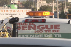 Vectores va contra el dengue