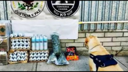Guardia Nacional asegura al parecer droga oculta en botes de spray