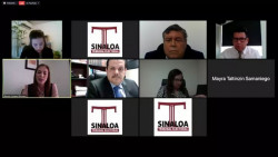 Ejerce violencia política el Químico Benítez contra Síndico Procuradora: TEES