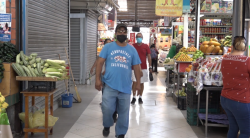 Sin repuntar las ventas en el Mercado “Pino Suárez”