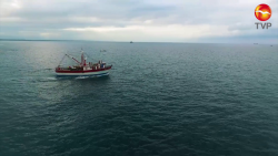 Ayudará la SEMAR a la recuperación de la pesca tras el Covid 19