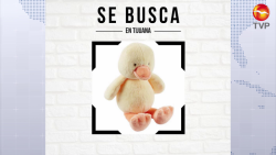 La odisea de un patito de peluche