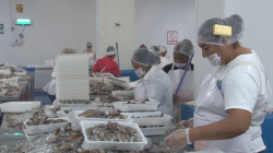 Disminuye 1.2% el número de trabajadores en Sinaloa en el mes de mayo