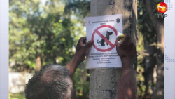 Llaman a ser 'dueños responsables'