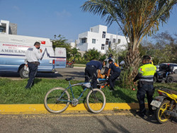 Muere hombre tras chocar contra palmera
