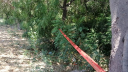 Encuentran un cuerpo en avanzado estado de descomposición por la Culiacán-Navolato