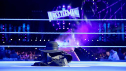 The Undertaker anuncia su retiro de la WWE