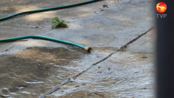 Desperdician agua en medio de la contingencia
