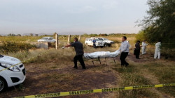 Sepultado de manera clandestina y en estado de descomposición encuentran cadáver