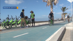 Concurrido el malecón en su apertura al público