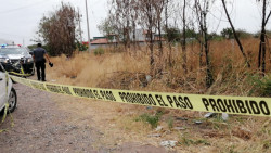 Atropellan a un adulto mayor