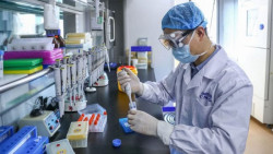 Científicos chinos alertan de otra preocupante gripe porcina