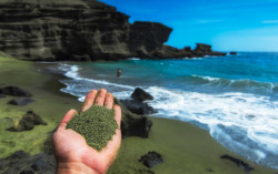 Playas verdes contra el calentamiento global