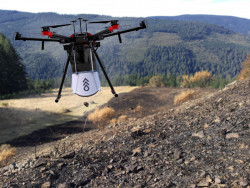 Con drones plantarán millones de árboles