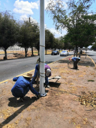 Reponen postes derrumbados por accidentes