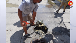 Desazolvan alcantarillado y sacan bolsa de basura