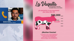 A la mitad de la Vaquita para la Abuela Rosa