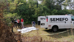Encuentran a una persona asesinada en Navolato