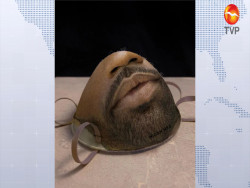Desarrollan prototipo de cubrebocas  de reconocimiento facial