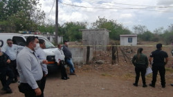 Encuentran en domicilio cuerpo en estado de descomposición