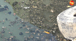 93 mil unidades de heces alberga el Estero de Urías denuncian vecinos