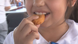 Comida chatarra y  falta de ejercicio generan obesidad