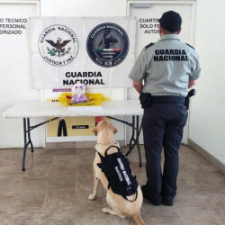 Detectan droga escondida en chocolate